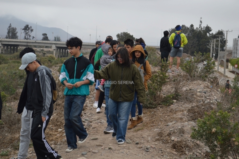 DSC_0005 Copiar-1.JPG