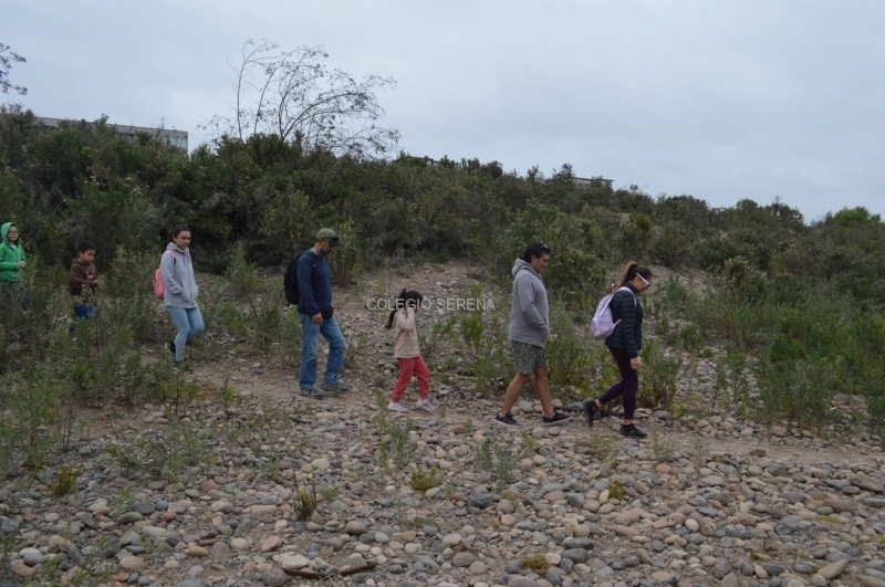 DSC_0040 Copiar-1.JPG