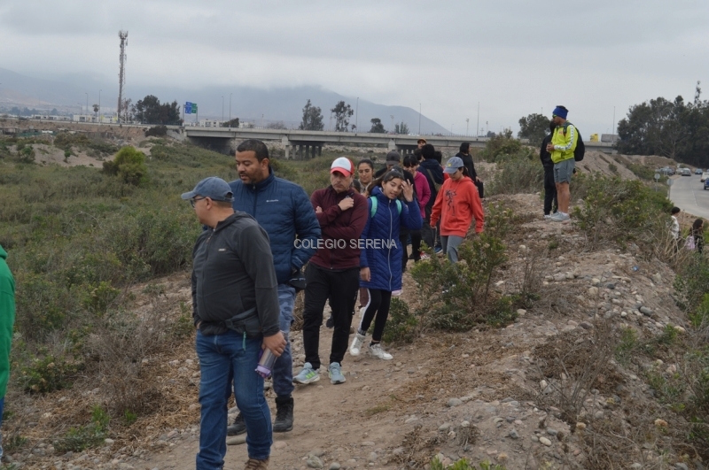 DSC_0008 Copiar-1.JPG