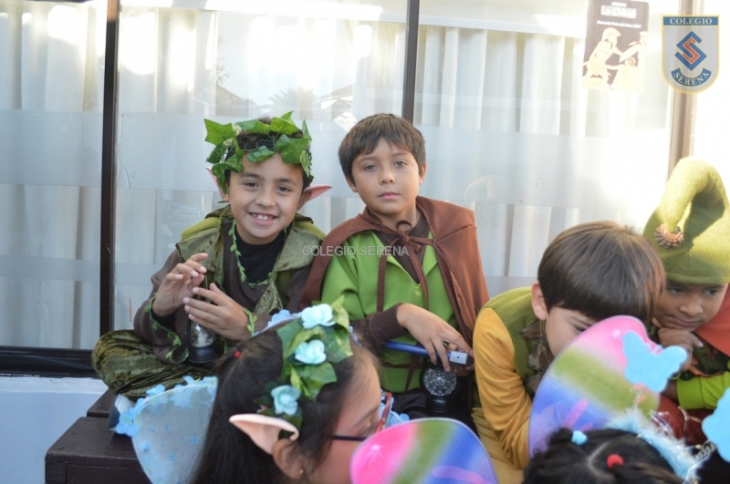 DSC_0037 Copiar-1.JPG