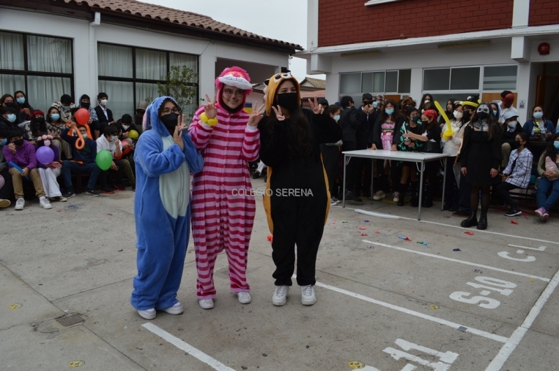 DSC_0087 Copiar.JPG