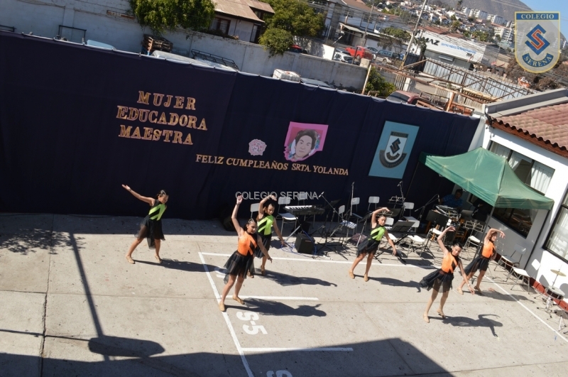 DSC_0055 Copiar-2.JPG