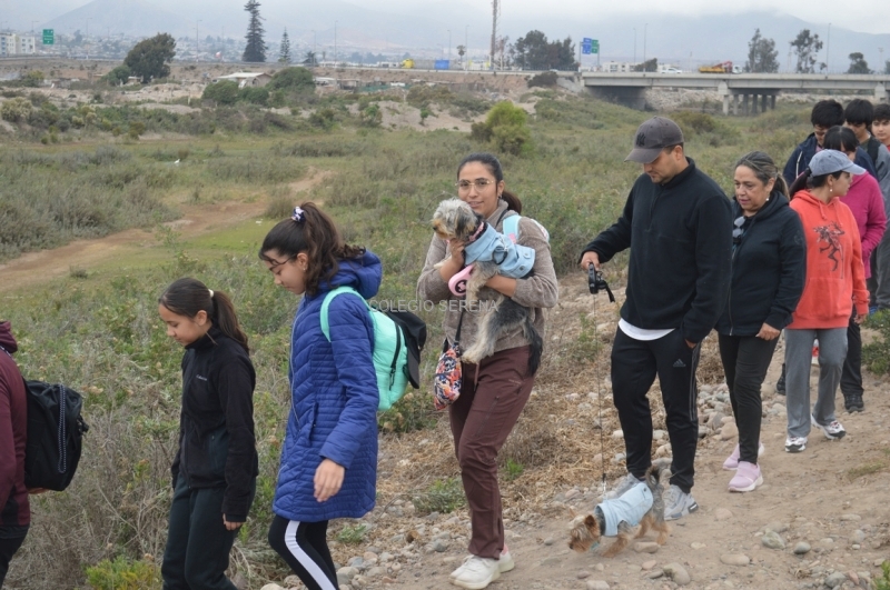 DSC_0010 Copiar-1.JPG