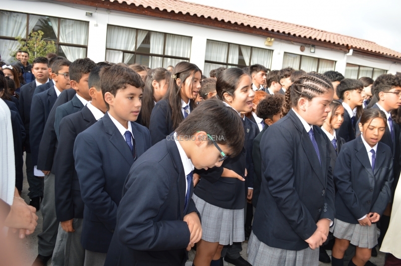 DSC_0144 Copiar-1.JPG