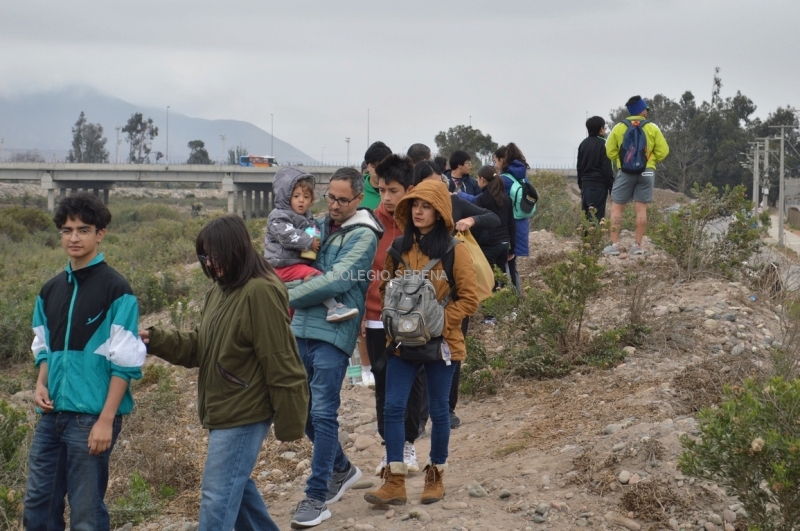 DSC_0006 Copiar-1.JPG