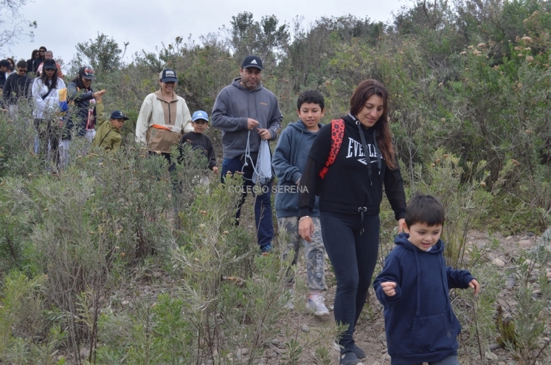 DSC_0049 Copiar-1.JPG