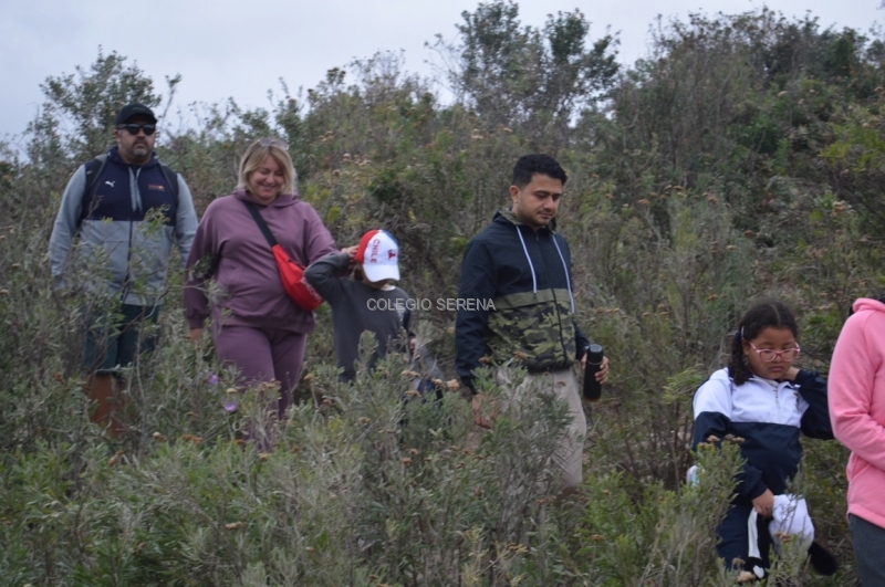 DSC_0046 Copiar-1.JPG