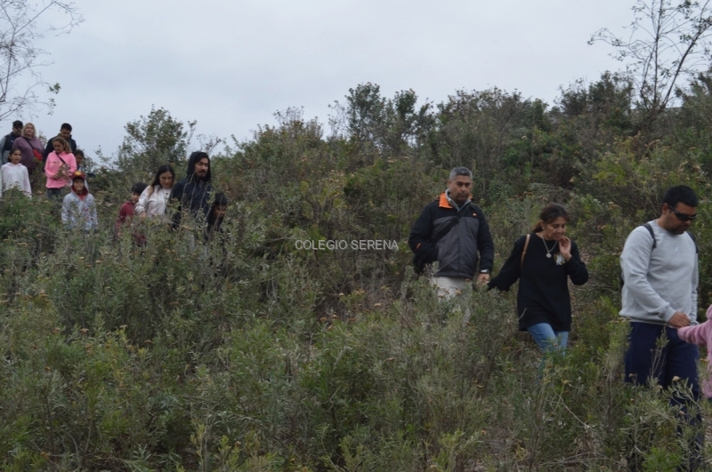 DSC_0042 Copiar-1.JPG