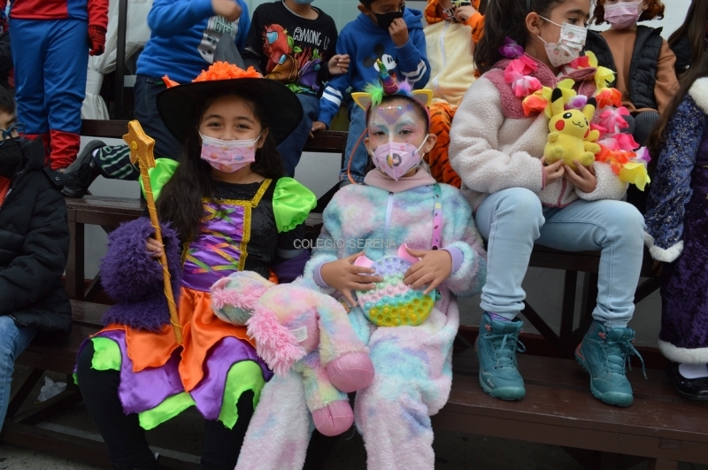 DSC_0012 Copiar-1.JPG