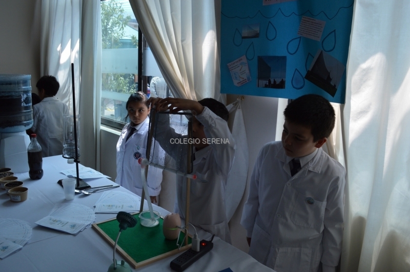 DSC_0526 Copiar.JPG
