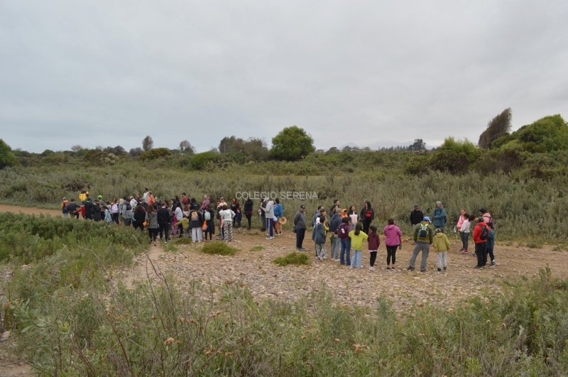 DSC_0061 Copiar-1.JPG