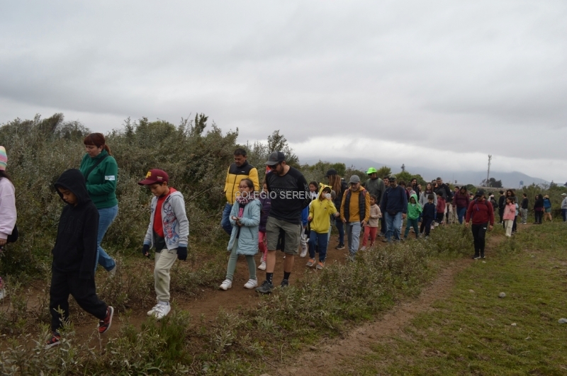 DSC_0065 Copiar-1.JPG