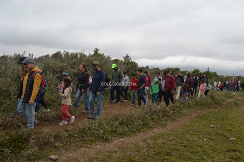 DSC_0066 Copiar-1.JPG