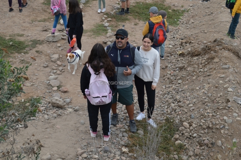 DSC_0033 Copiar-1.JPG