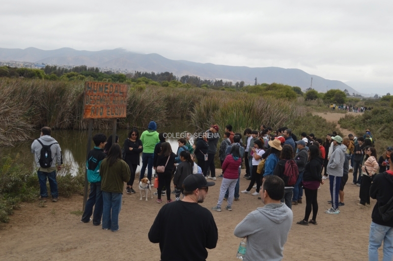 DSC_0104 Copiar-1.JPG