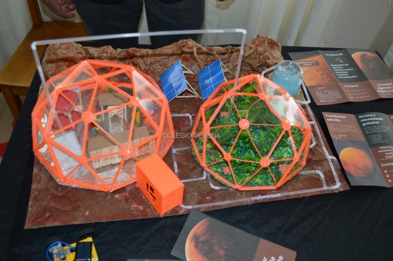 DSC_0599 Copiar.JPG