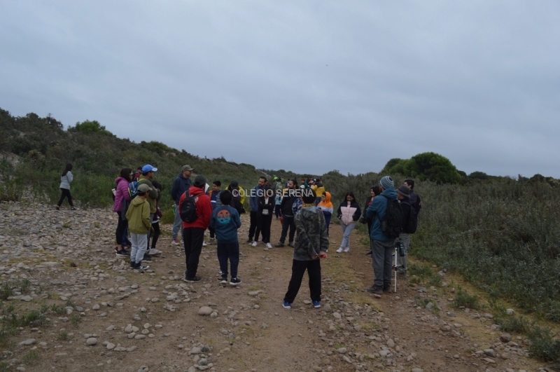 DSC_0039 Copiar-2.JPG