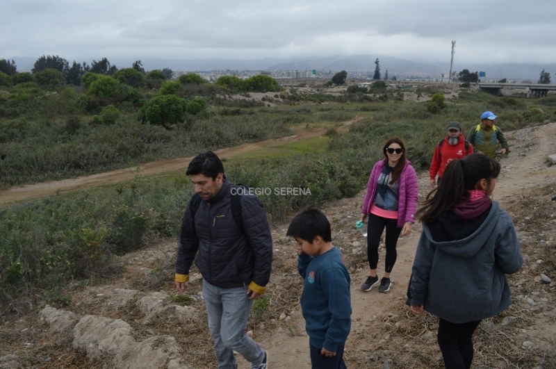 DSC_0024 Copiar-1.JPG