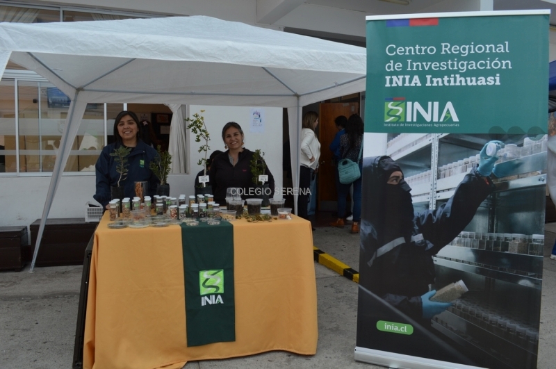 DSC_0537 Copiar.JPG