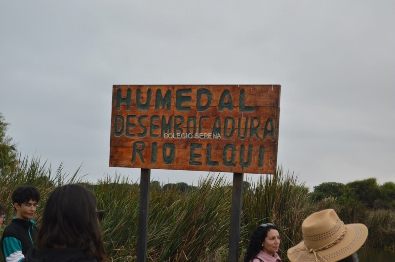 DSC_0103 Copiar-1.JPG