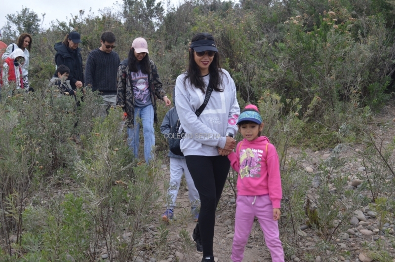 DSC_0052 Copiar-1.JPG