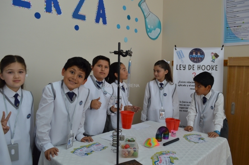 DSC_0563 Copiar.JPG
