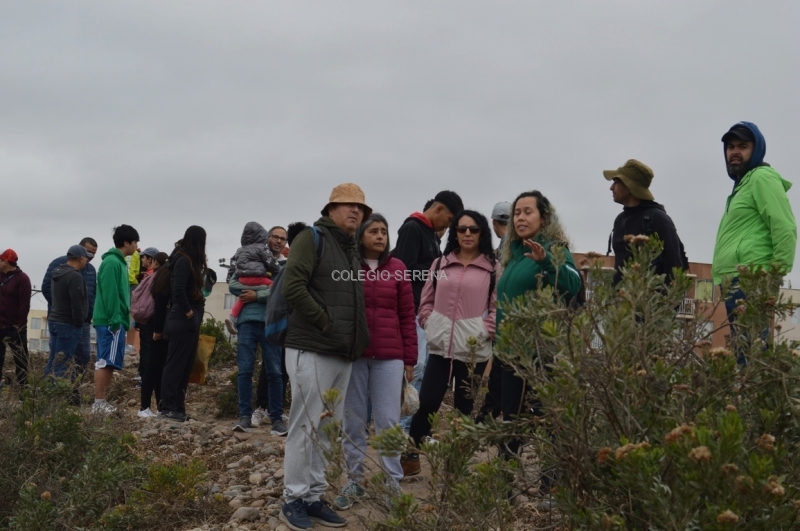 DSC_0003 Copiar-1.JPG