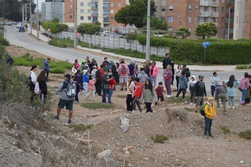 DSC_0019 Copiar-1.JPG