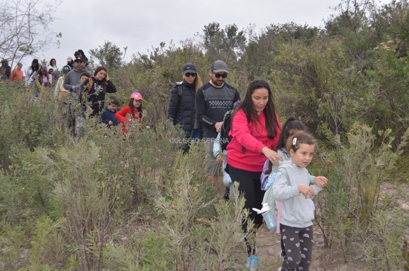 DSC_0047 Copiar-1.JPG