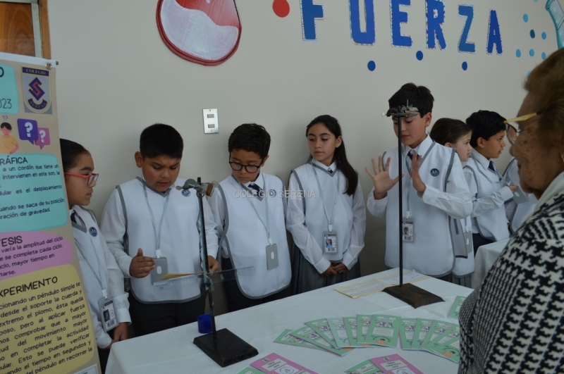 DSC_0556 Copiar.JPG